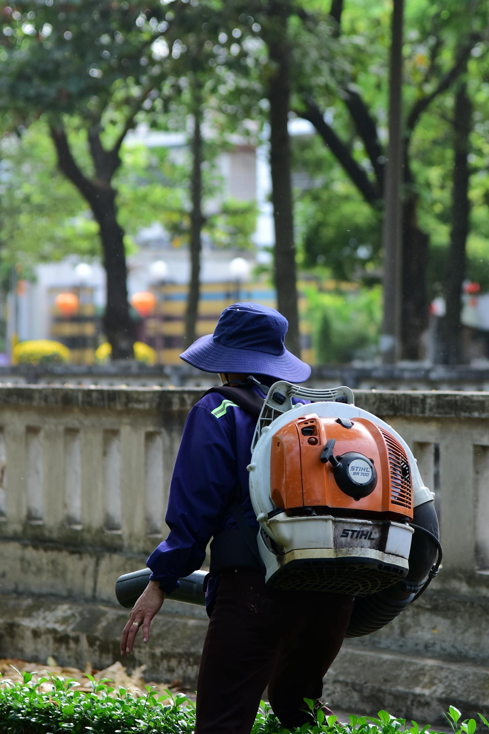 Backpack blower clearing fallen leaves into a tidy pile on a residential lawn.
